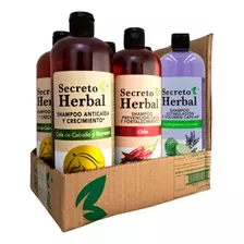  Caja 6pz Surtida Shampoo Secreto Herbal Romero Chile Sábila