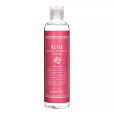 Secret Key Rose Floral Softening Toner (revitaliza 248ml) Tipo De Piel Todo Tipo De Piel