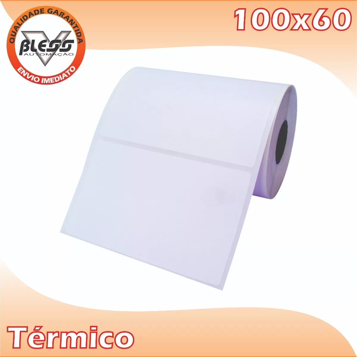 10 Rolos Etiqueta Térmica 100x60 Mm | 10x6 Cm