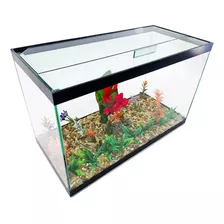 Aquário Bob Decorado N6 45x21x28 28lts Vidro Peixes Plantas