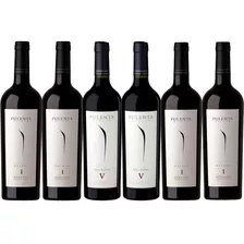 Pulenta Coleccion Malbec-cabernet Sauvignon-blend X6-celler