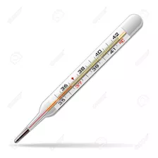Termómetros Oral De Mercurio