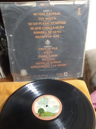 Cat Stevens - Los Mas Grandes Exitos - vinilo 1977
