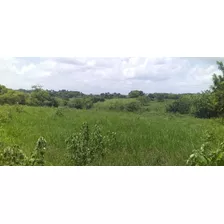 Vendo Esta Finca De 185 Tareas En Sabana Grande De Boya