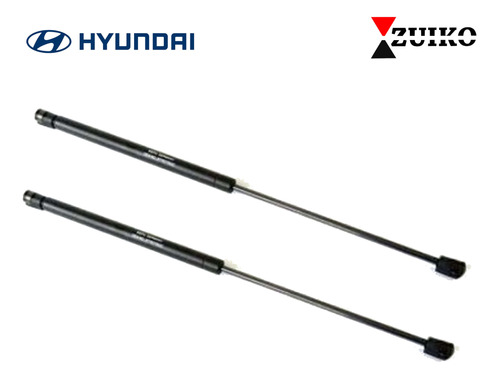 Kit 2 Amortiguadores Cajuela Hyundai Verna 01-10 Foto 2