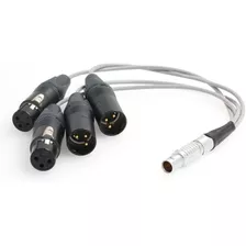 Cable De Audio Xlr De 10 Pines A 2x3 Pines, Gris