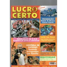 Revista Lucro Certo Ganhe Fazendo Arte E Investindo Pouco 12