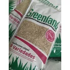 Cesped Premiun Greenland 9 Variedades X 1 Kilo