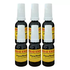 Kit 6 Unid Chama Enxame Abelhas Apicultura Spray 