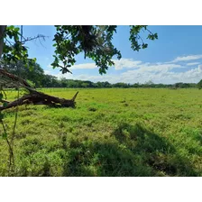 Te Vendo Finca En Controba/ La Vega.