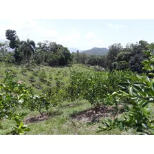 Finca De 340 Tareas De Venta En Bonao 