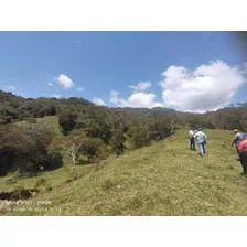 Venta O Permuta Finca En Jesus Maria Santander De 20 Hectareas