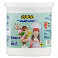 Base Para Gelados Comestíveis Coco Selecta Pote 100g