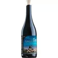 Vino Tinto Blend De Tintas Galileo ( Mendoza )