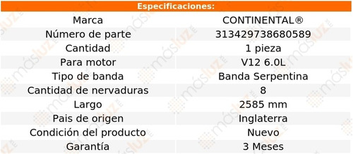 Banda 2585 Mm Acc S600 V12 6.0l 94/95 Continental Foto 4