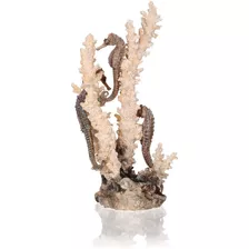 Biorb Seahorses En Coral Natural, Largo