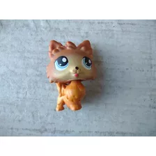 Littlest Pet Shop Perro Pomeranian #1599 