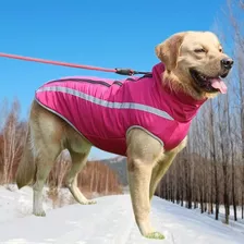 Roupa Frio Inverno Cachorro Médio Porte Impermeável 4xl