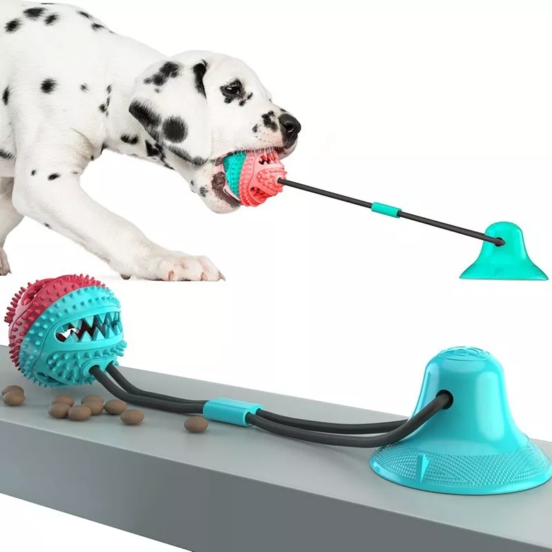 Brinquedo Interativo Cães Cabo De Guerra Com Ventosa Premium