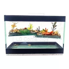 Terrário Aquário Médio Para Tartarugas Jabuti Vidro 25x13x18