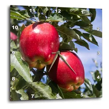 3drose Dpp__1 Red Delicious Agriculture, Idaho - Us13 Dfr114
