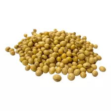 Semilla De Soya Forrajera Sin Tratar 1 Kg 