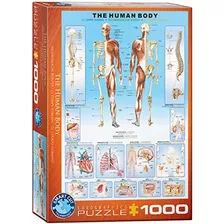Rompecabezas Del Cuerpo Humano (1000 Piezas)