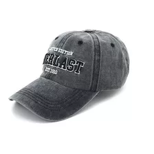 Gorra Hombre Urbana Deportiva Everlast Original Cap Visera 