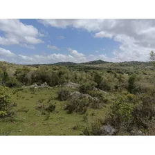 En Venta Hermosa Chacra De10 Hectáreas En La Sierra De Maldonado.