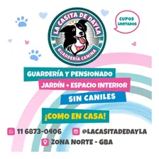 Pensionado Y Guarderia Canina Gral. Pacheco/sin Caniles 