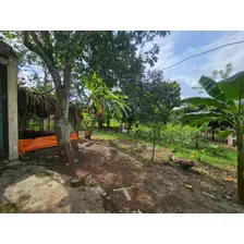 Se Vende Terreno Con Casa En La Piña De Jaya, 2,500 M2 S.f.m