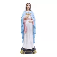 Imagem Nossa Senhora Grávida Resina 21,6 Cm