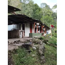 Se Vende Finca Palestina Salento Quindío 