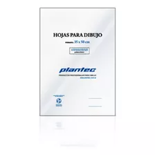 Hojas 35x50 Plantec Pack Por 10 Hojas Dibujo Tecnico