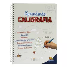 Livro Aprendendo Caligrafia - Volume Unico - Todolivro