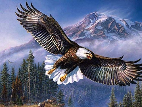 Aguila Voladora - Pintura Al Oleo Sobre Lienzo Cuadros Mod