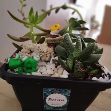 Mini Terrário 