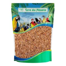 Camarão Desidratado - Gammarus - 50g 