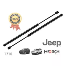 Kit 2 Amortiguadores Cajuela Jeep Compass 07-17