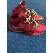 Zapatillas Nike Lebron 10 (x)