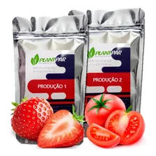 Hidroponia - Kit Nutrientes 1000 Litros - Morango E Tomate