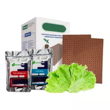 Espuma Fenólica 5 Placas+ Kit Solução Nutritiva 1000l 