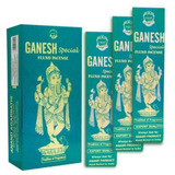 Incenso Anand Ganesh Especial Box Com 12 Pacotes De 25gr