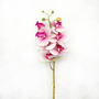 Segunda imagen para búsqueda de flores artificiales orquideas