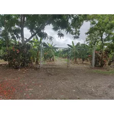 Finca De 92 Tareas De Venta En Bonao 