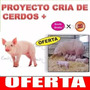 Segunda imagen para búsqueda de bebederos para cerdos de engorde