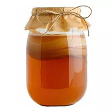 Kit Iniciador Fácil Bebida Saludable Kombucha + Scoby Madre 