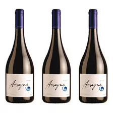 3 Vinos Garces Silva Amayna, Syrah