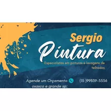 Pinturas Em Geral E Lavagens De Telhado 