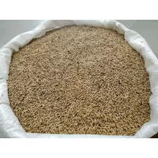 Alpiste Para Aves Primera Calidad X 5 Kg. Mercado Envio